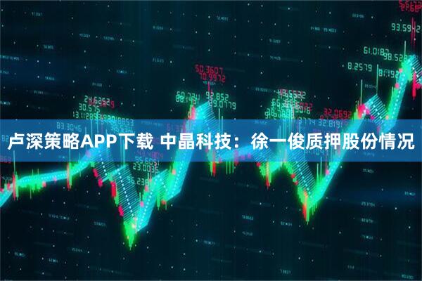 卢深策略APP下载 中晶科技：徐一俊质押股份情况