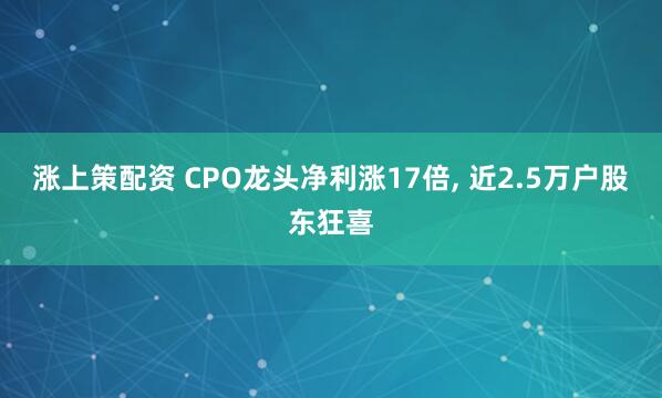 涨上策配资 CPO龙头净利涨17倍, 近2.5万户股东狂喜